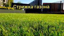 Стрижка газона. Покосить газон.