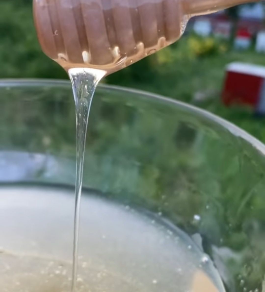 Мед шымкент 2500 кг своя пасека