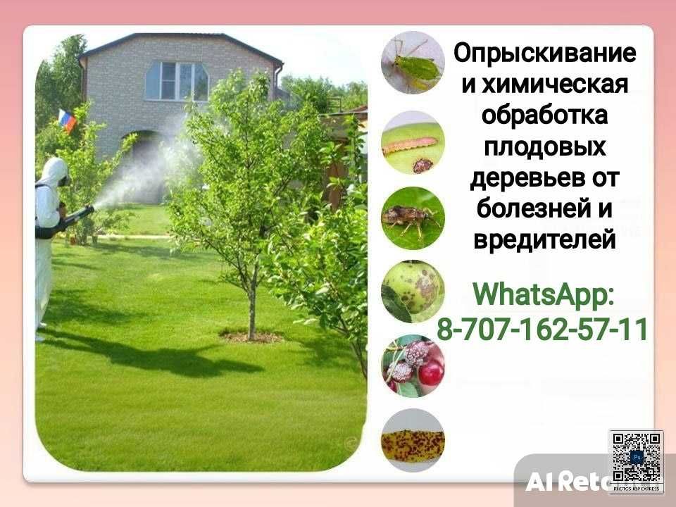 Покос травы. Стрижка газона. Уборка участка, сада, огорода. Садовник
