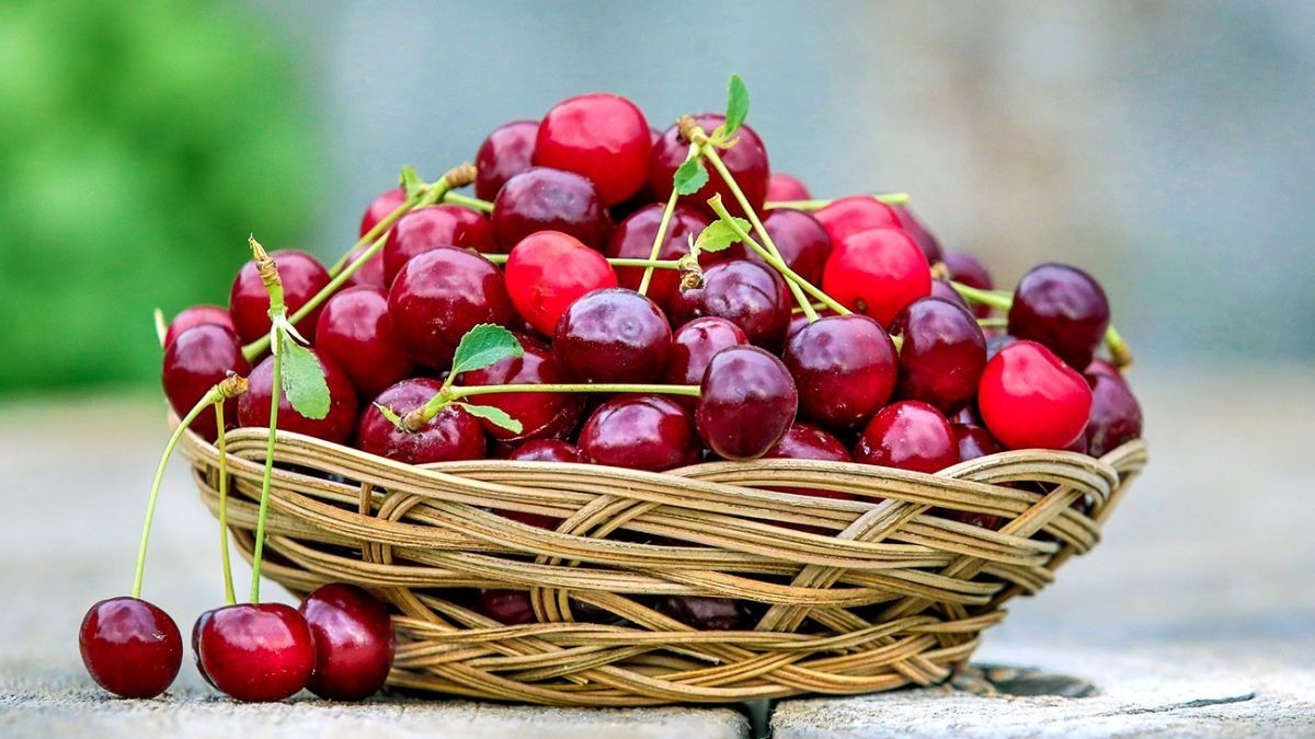 Продам вишню домашнюю,цена  4000  ,5 литров