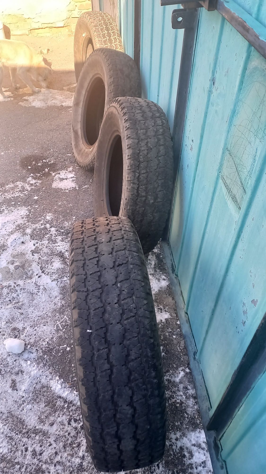 Авто шины все зизоныи состояние отличное