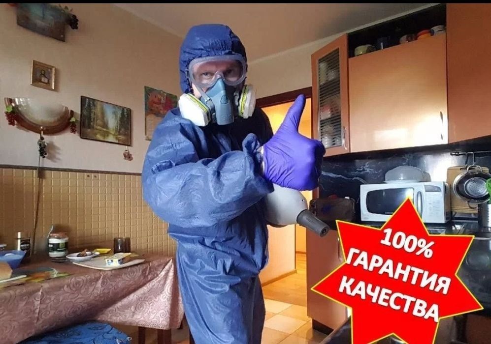 Дезинфекция! Обработка от клопов с тараканов, муравьёв, блох и т.д