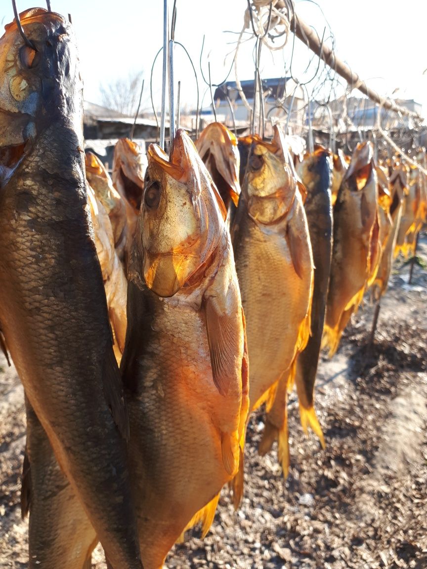 Рыба копченая без головы и хвоста 2500тг за 1 кг