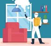 Дезинфекция клопы тараканы уничтожение насекомых, грызунов .  Крыс