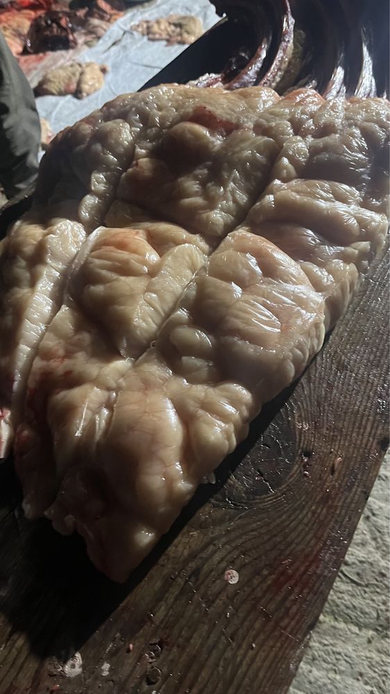 Жылкы еты бордакы семыз