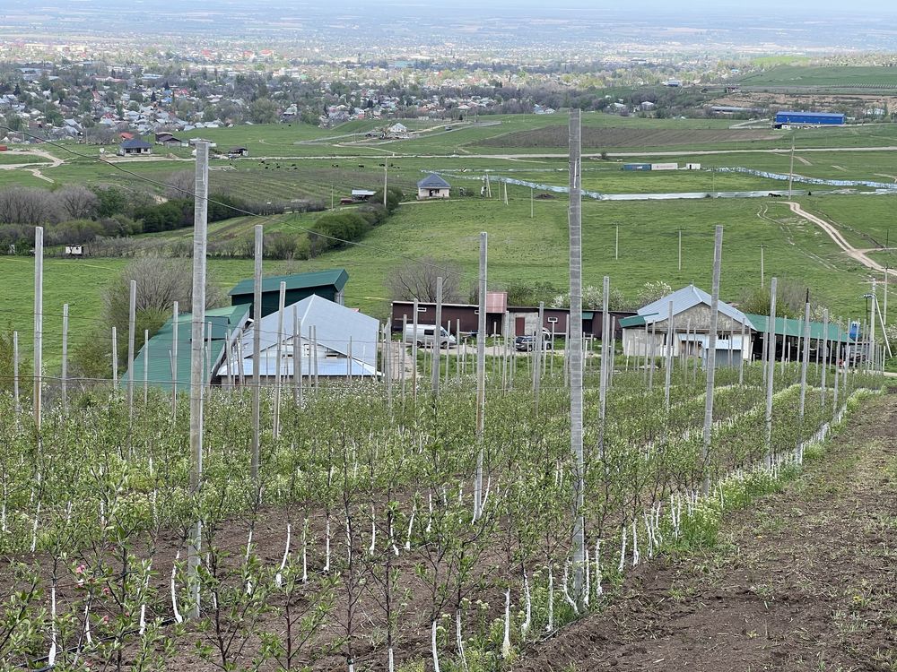 Продам Фазенду