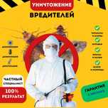 Дезинфекция Оброботка Таракан Клоп Насекомые