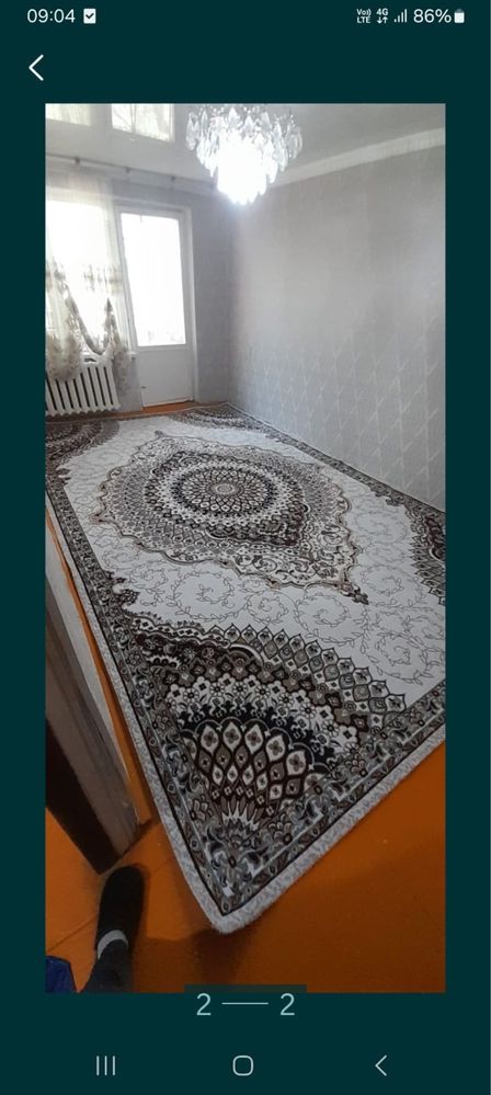 Белгийский клем новый