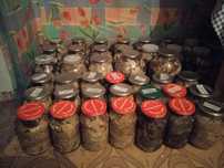 Продам грибы маринованные