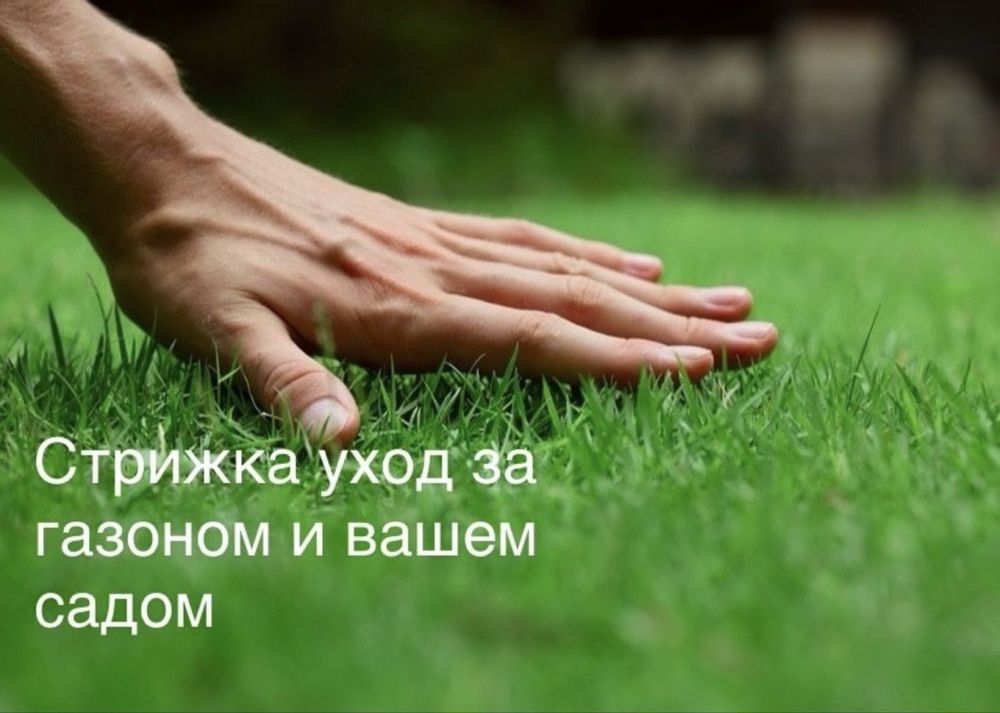 Газон стрижка услуга садовника