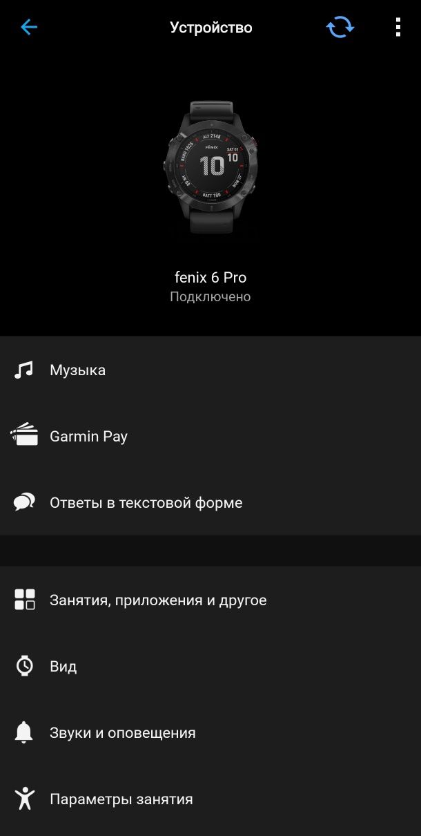 Garmin fenix  6pro