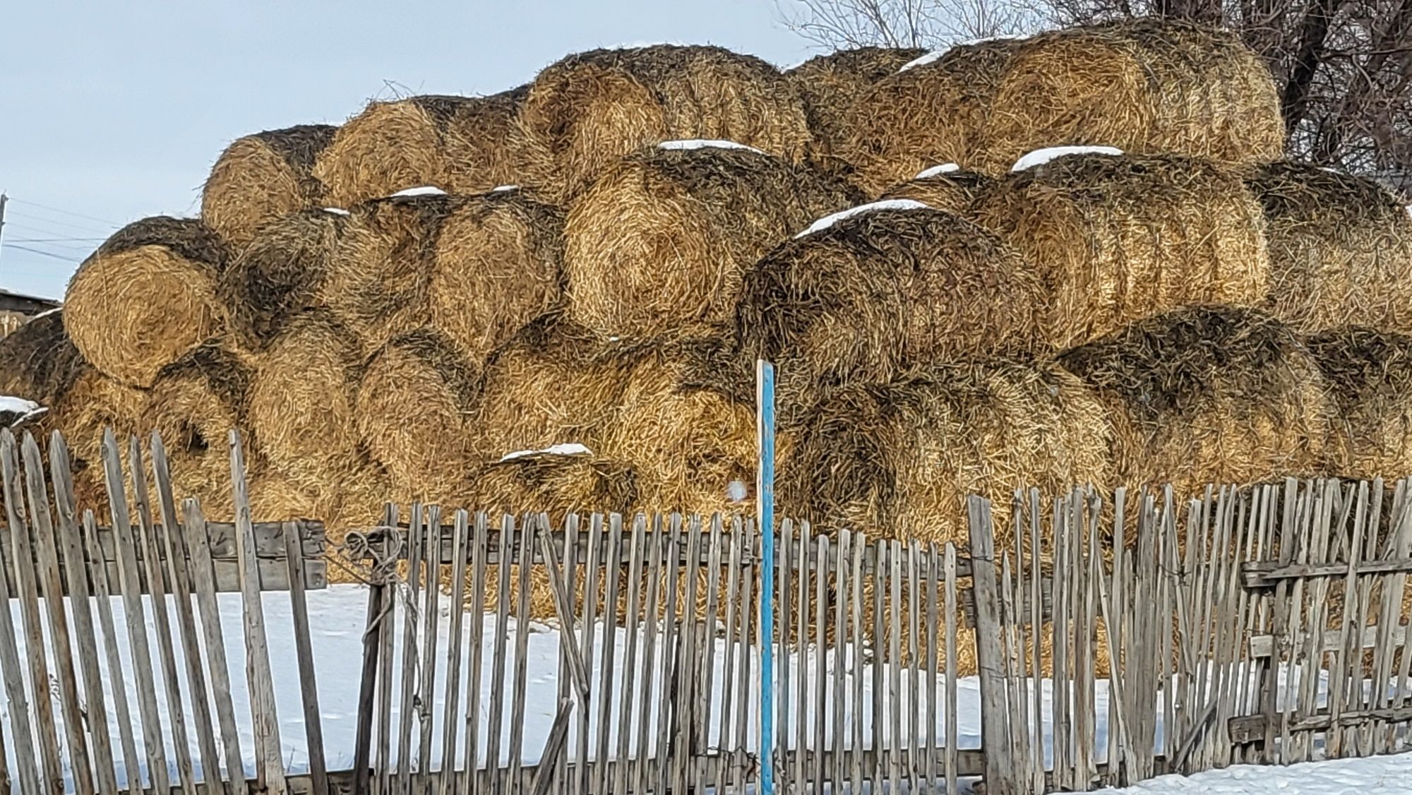 Сено,салома рулон
