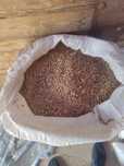 Продам зерно мешках