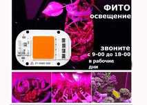 FITO LED свето-диод матрица 50 ватт полный спектр для растений рассады