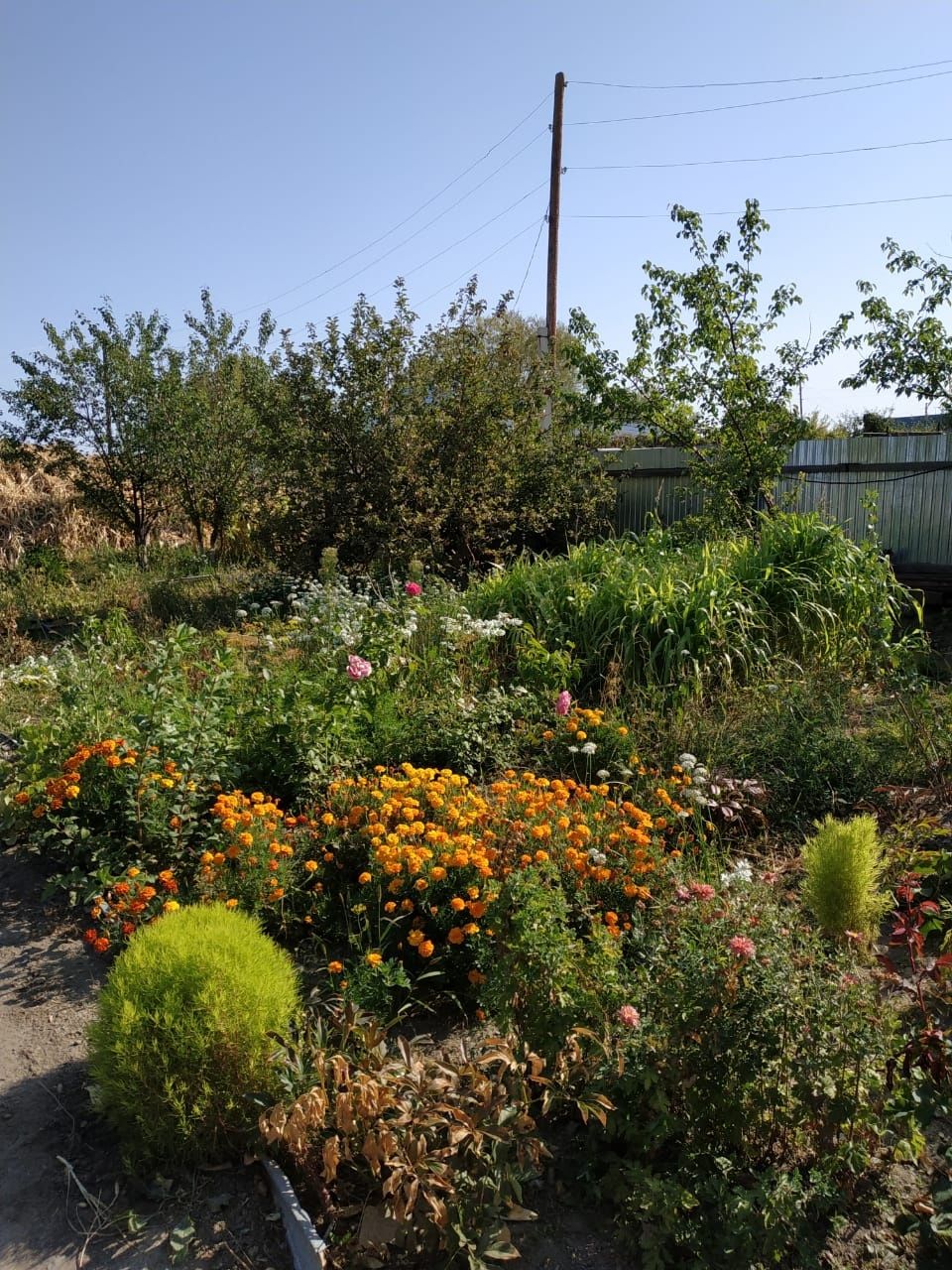 Продам дом в дачном массиве
