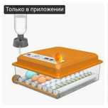 Цыплята в инкубаторе