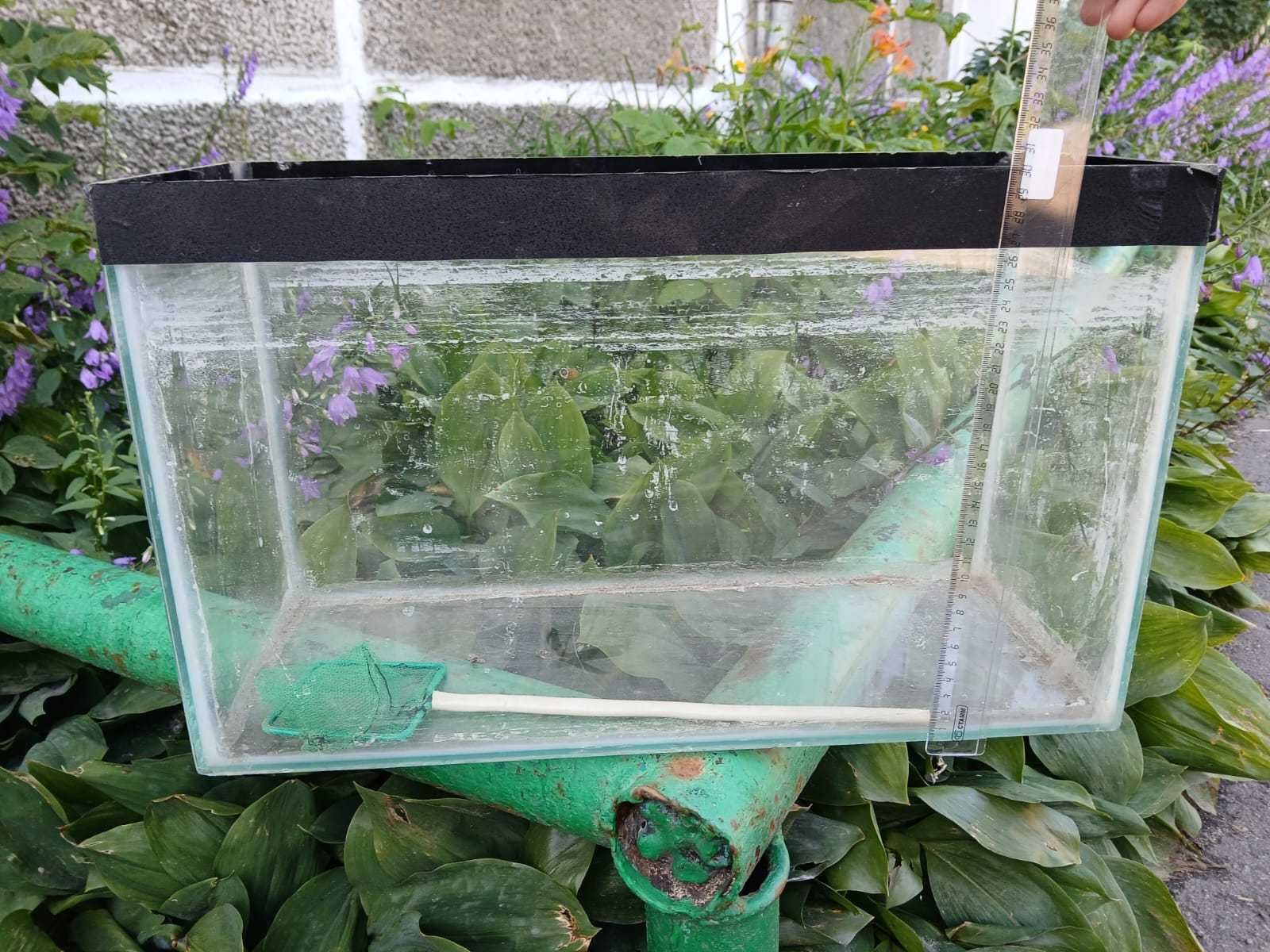продам аквариум для рыбок