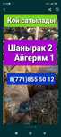 Бараны баран бараны Баран