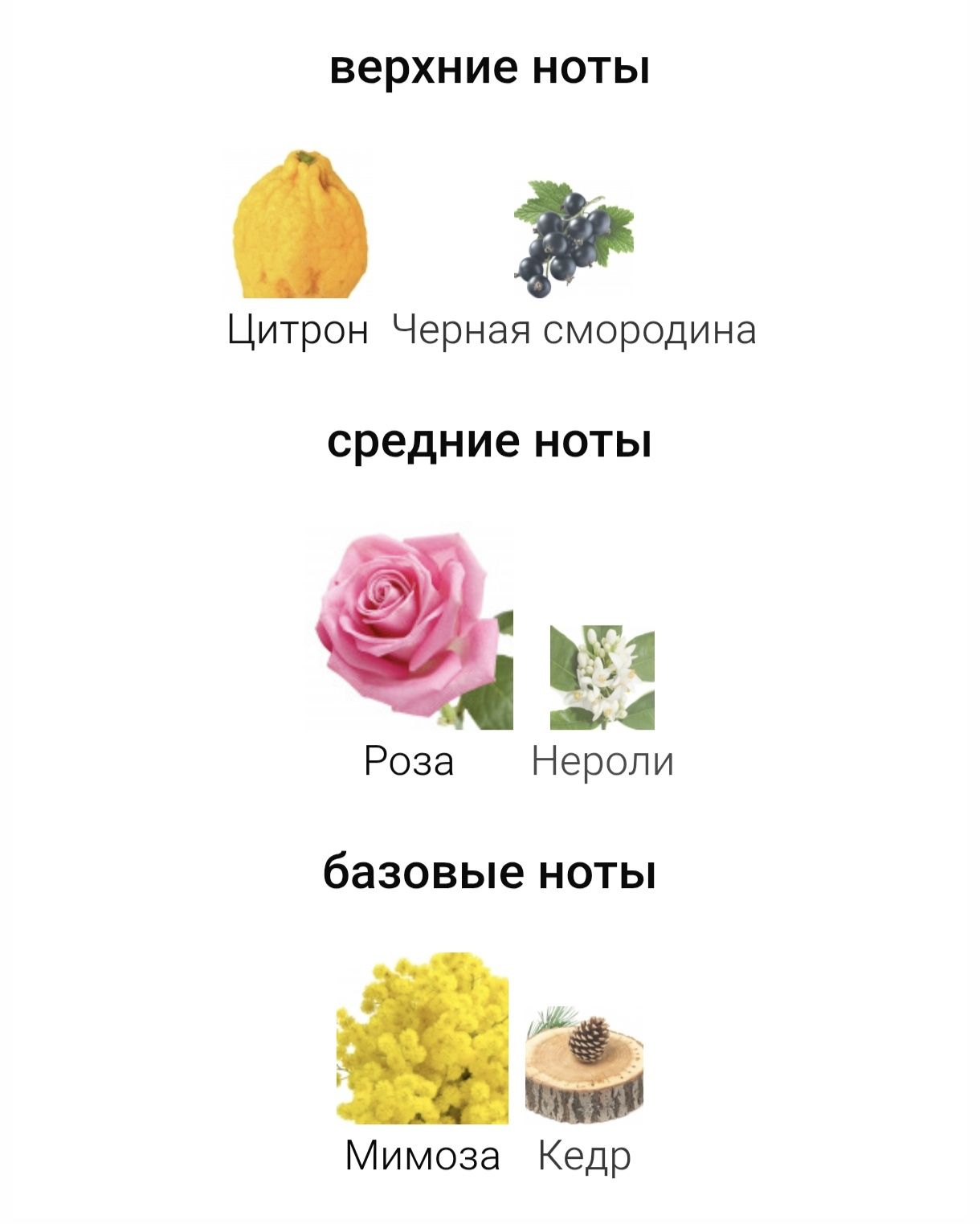 Продам парфюм Chloe Signature Naturellle