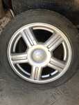 Торусы R15
