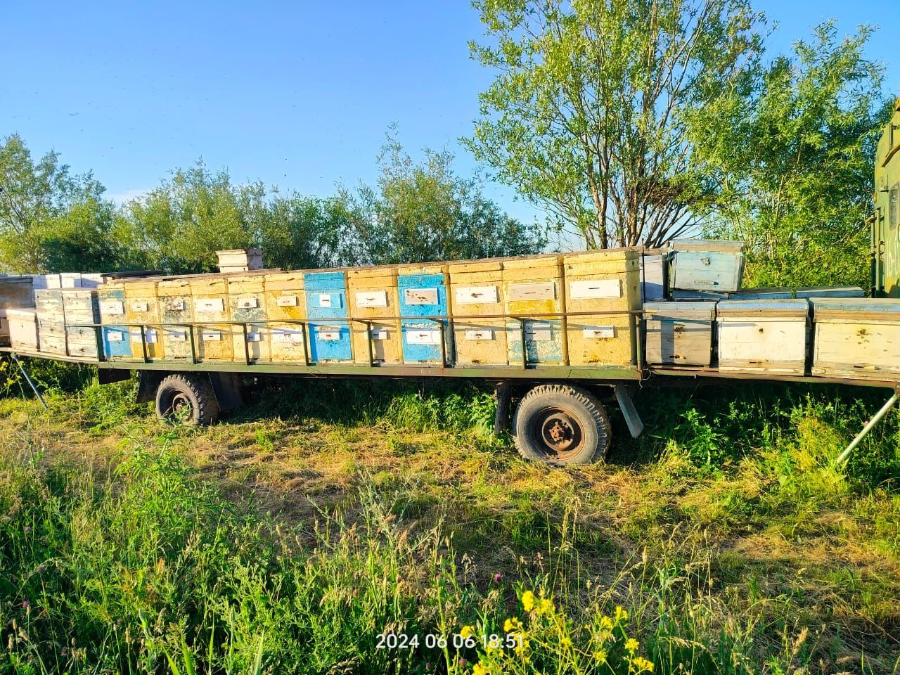 Пчеловодческий прицеп с пчелосемьями