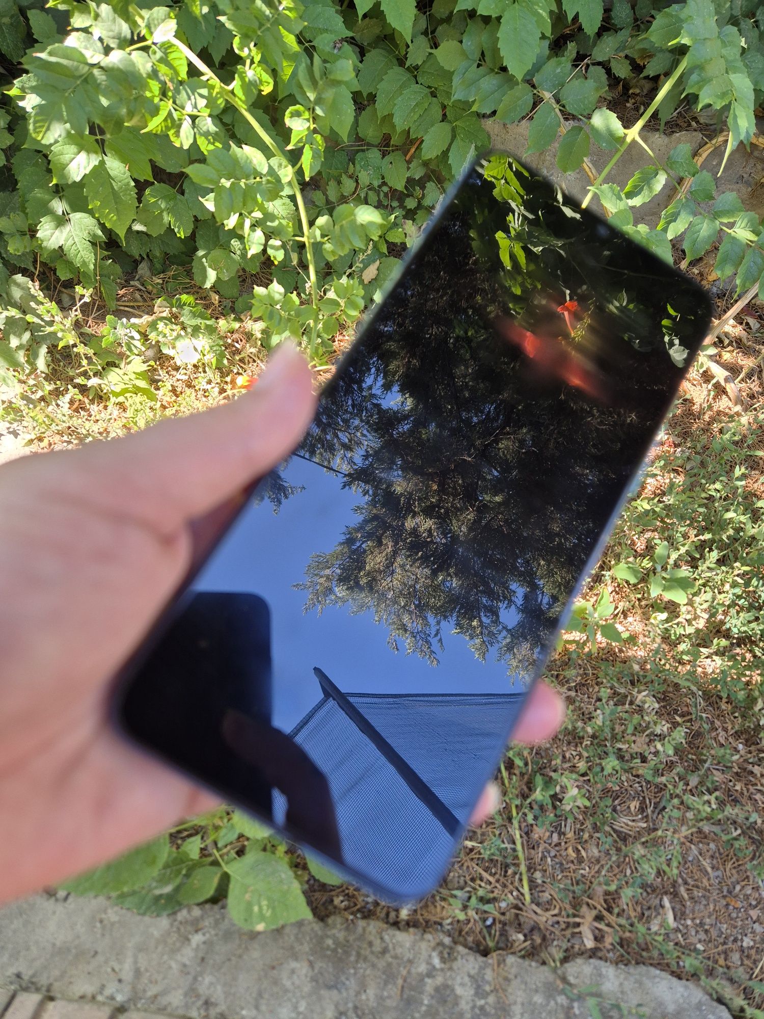 Телефон Vivo Y31