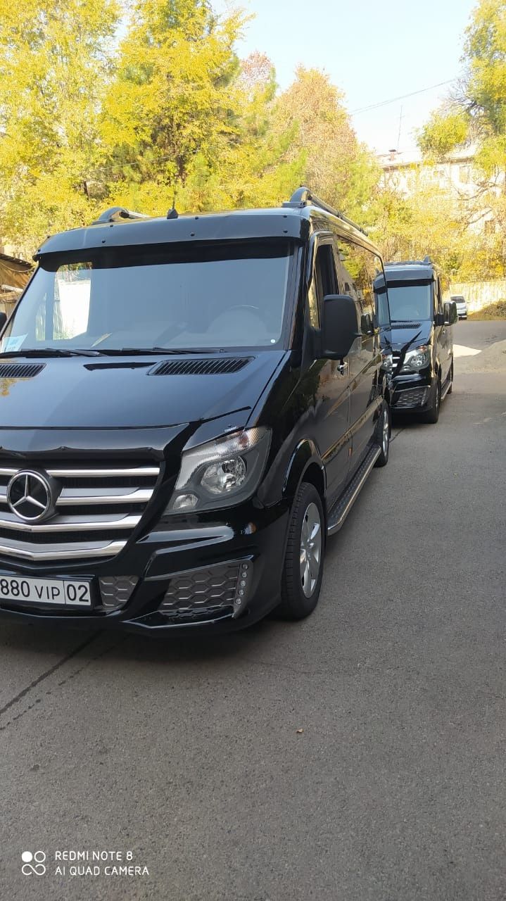 VIP Sprinter трансфера встречи делегаций туры прокат аренда сводителем