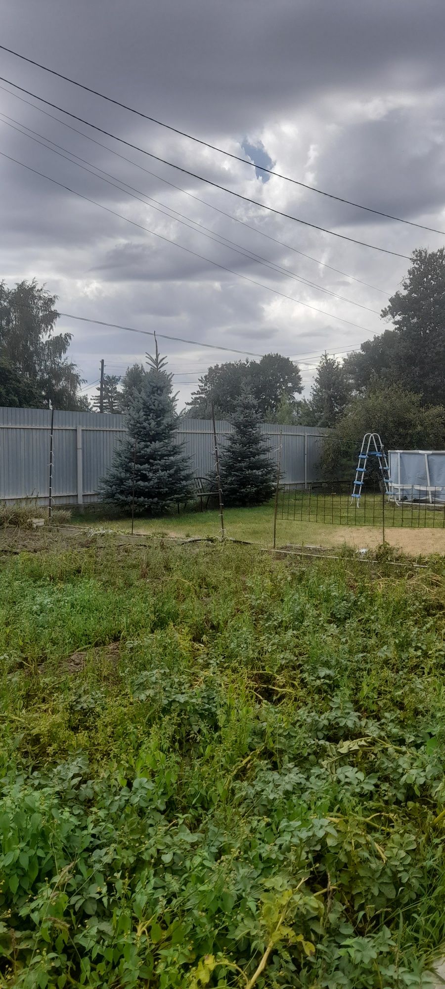 Продам дачу в ПТ Дружба Боьровка