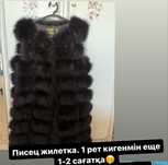 Писец желетка новый