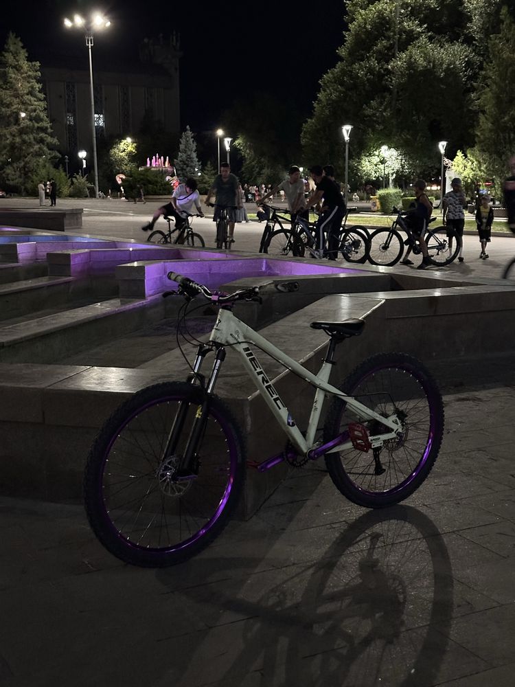 Велосипед Erec l100