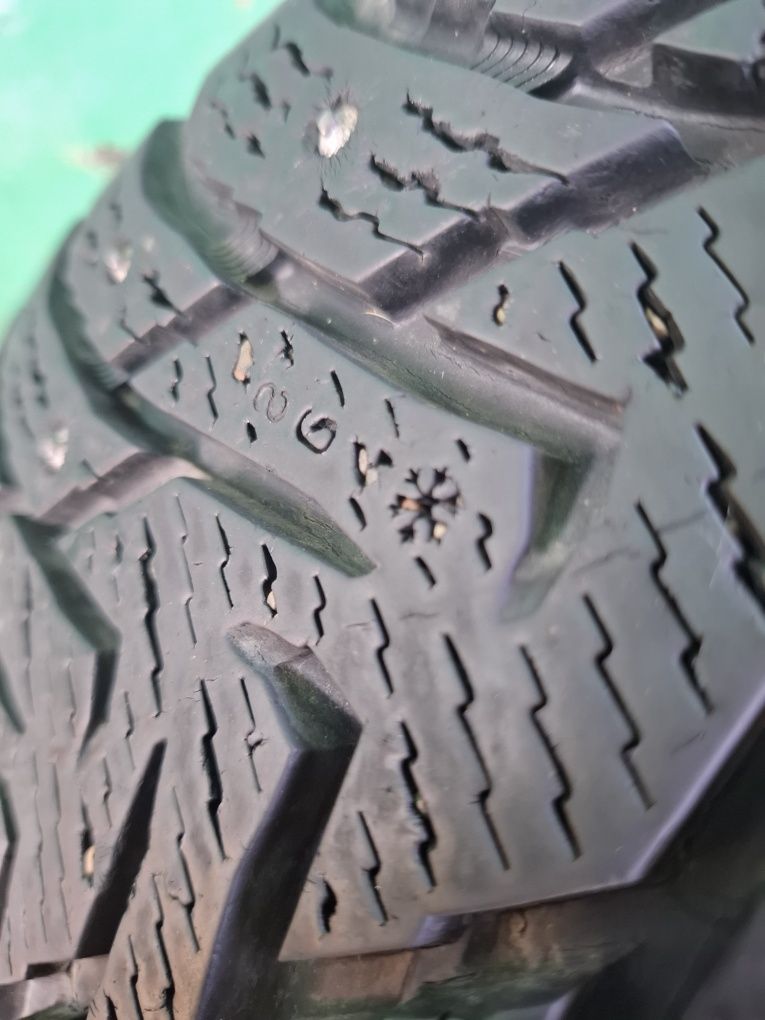 Nokian Hakkapeliitta