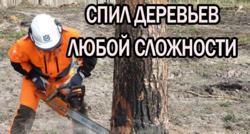 Валка деревьев расчистка участка Покос травы