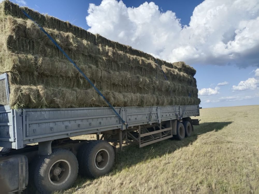 Продам сено в тюках