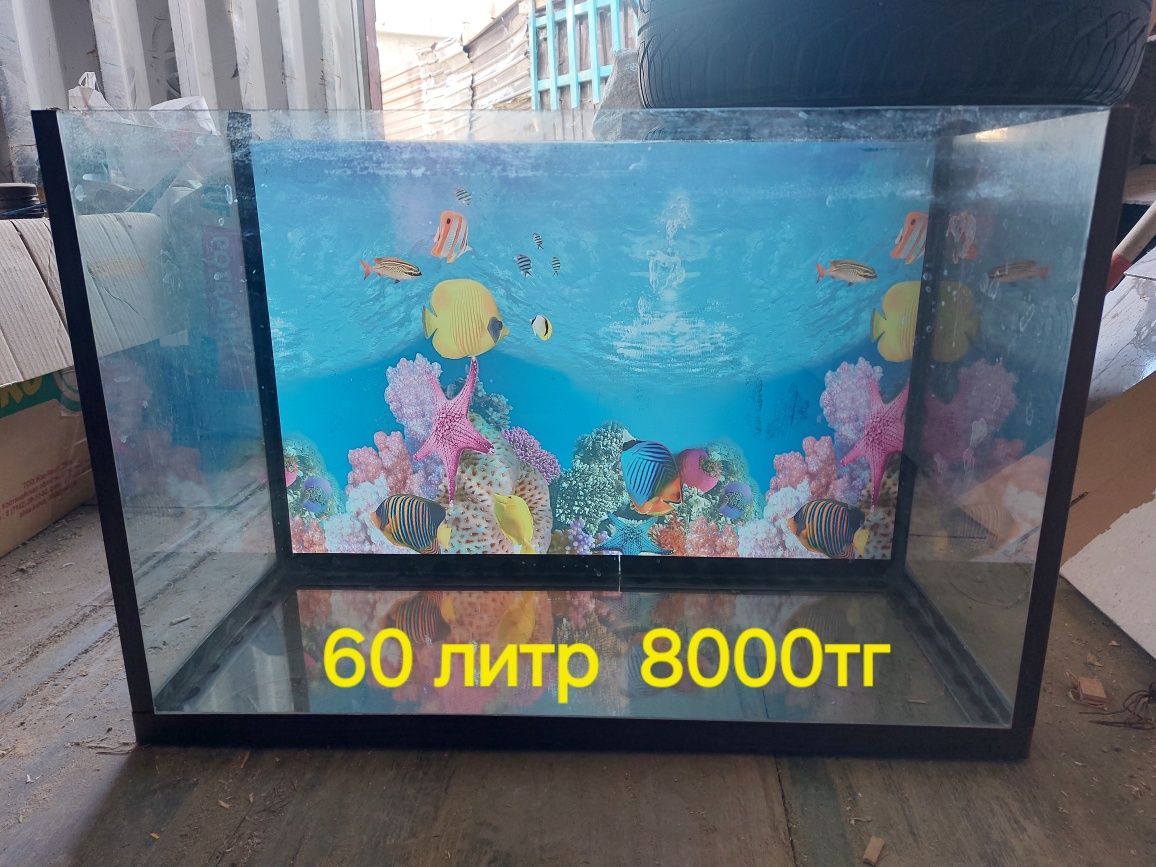 Аквариум 30л и 60л