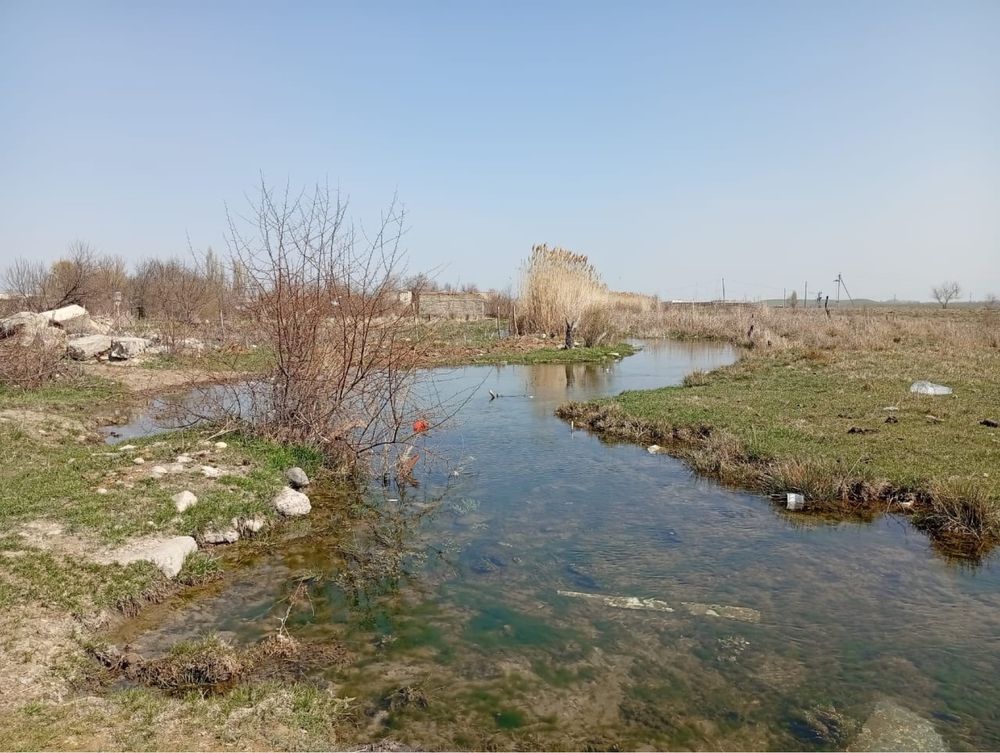 Продам фазенду в городе рядом НДФЗ, озера аса рядом
