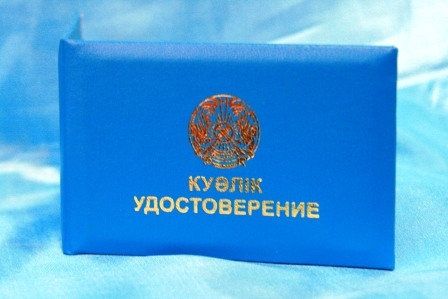 Корочки. Свидетельство. Повышение квалификации.
