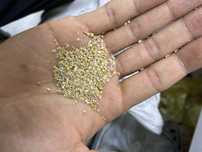 Продам корм для животных
