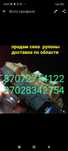 Про продам цена хорошего качества недорого