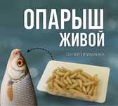 Черви, червяк - Рыболовный Опарыш живой натуральный