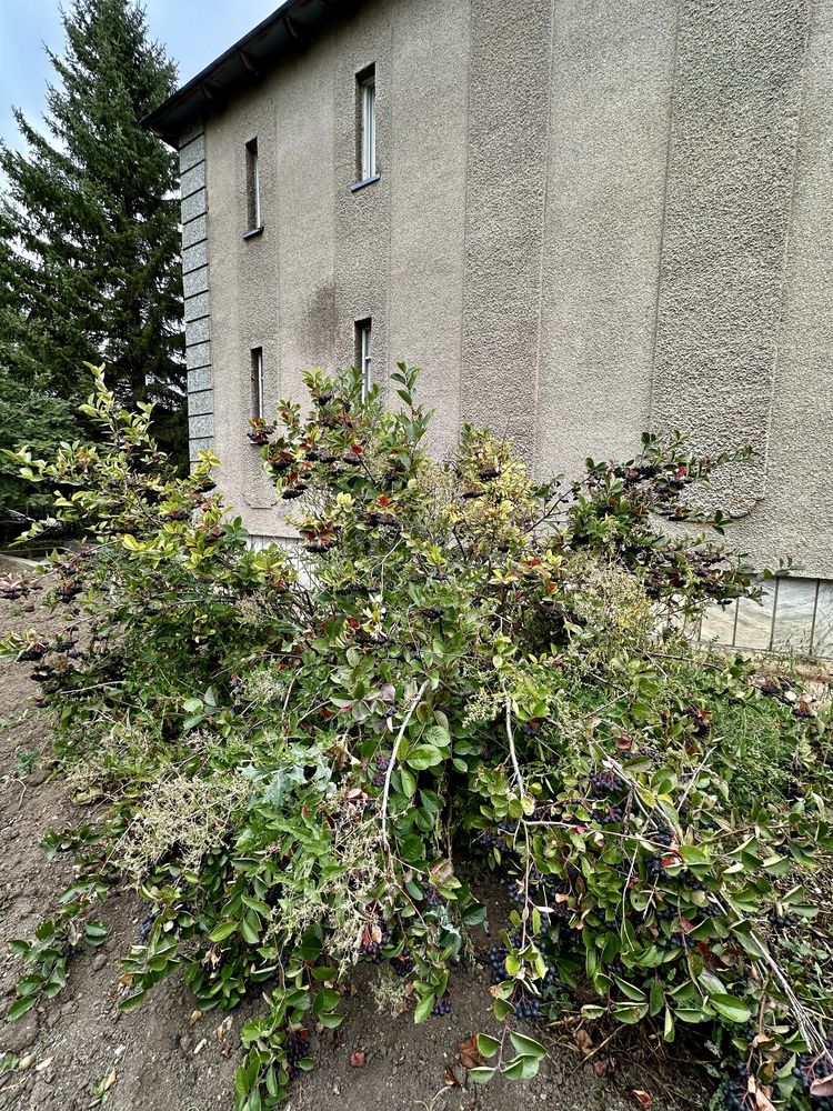 Продам большой 9 - комнтаный дом в мкр Шахтерский