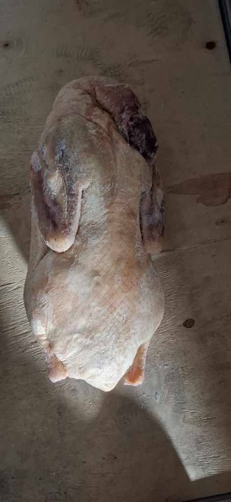 Продам домашний замороженные гусь утка
