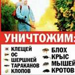 Дезинфекция г. Тараз, Гарантия 100% Результат, Качество !