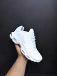 Кроссовки Nike TN
