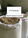 Корм для птиц продам