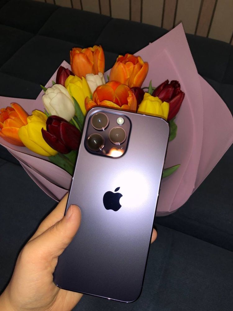 iPhone 14 Pro Max