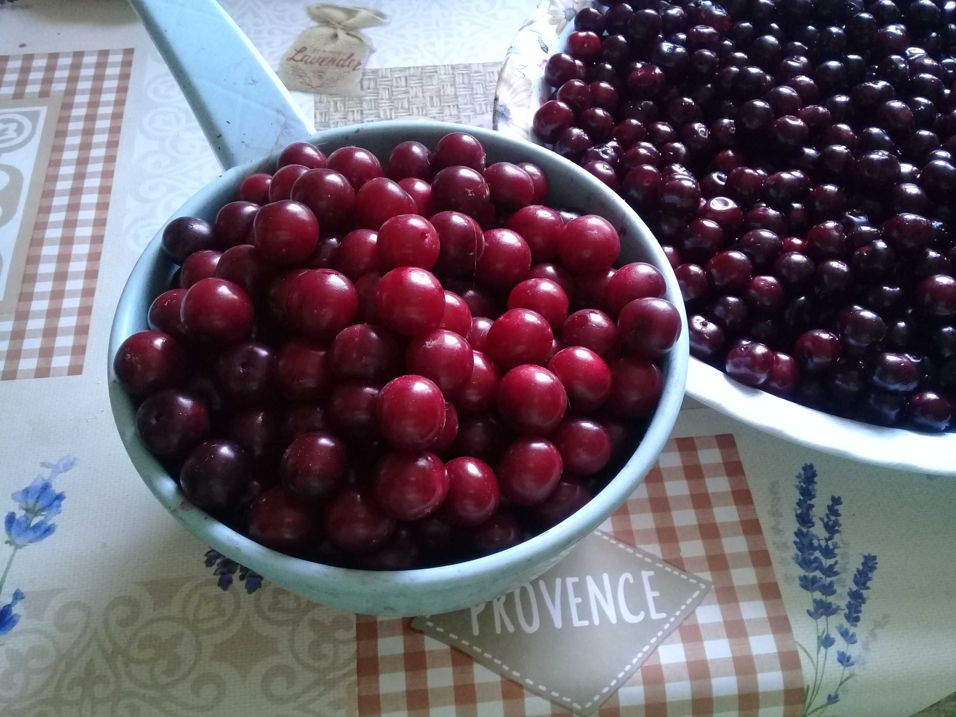 Продам садовую вишню- Есть свежая и замороженная