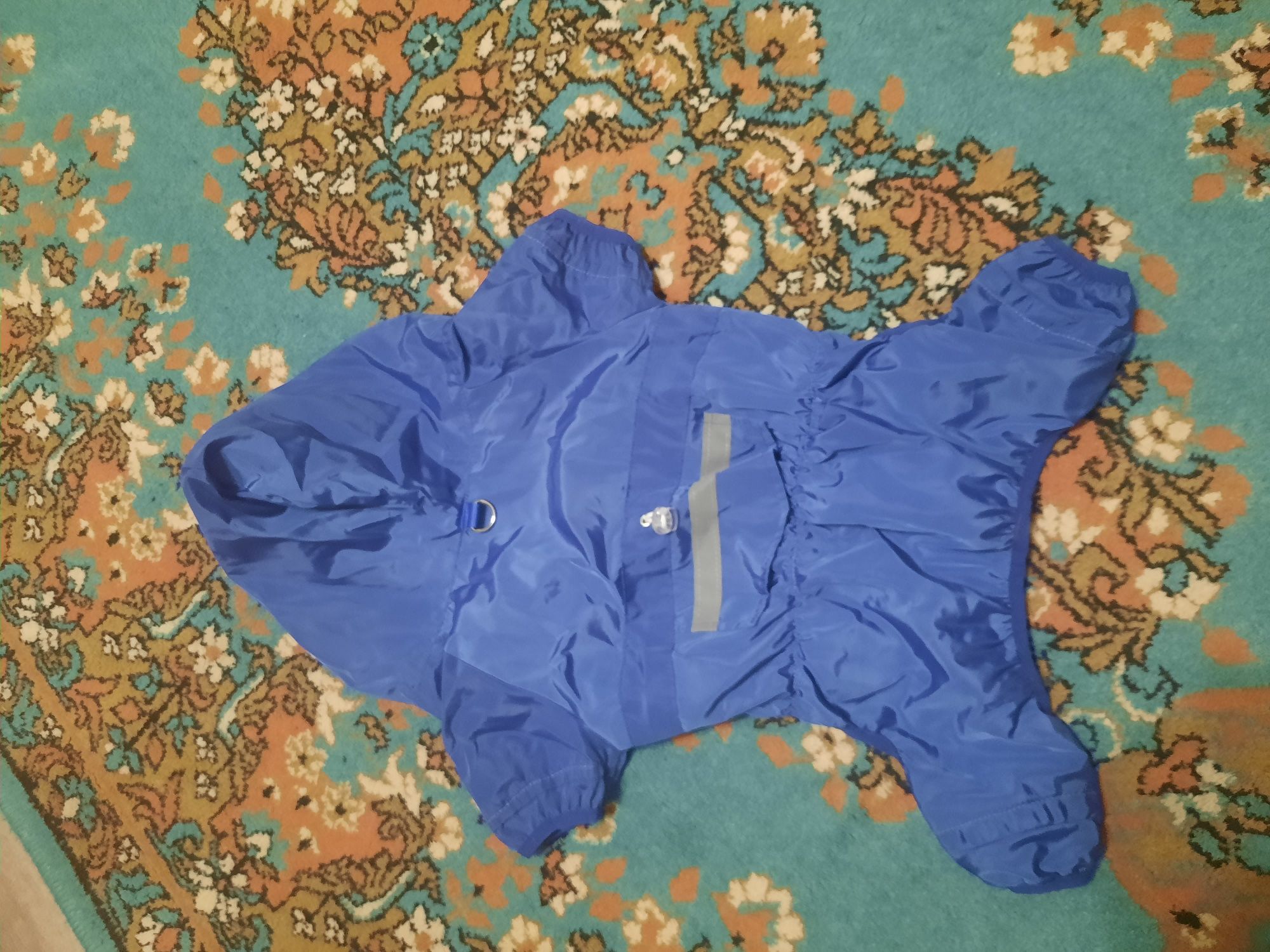 Одежда для собачки