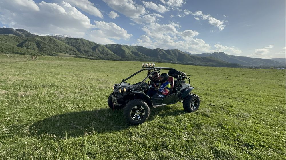 Багги Xinyang XY1100GK