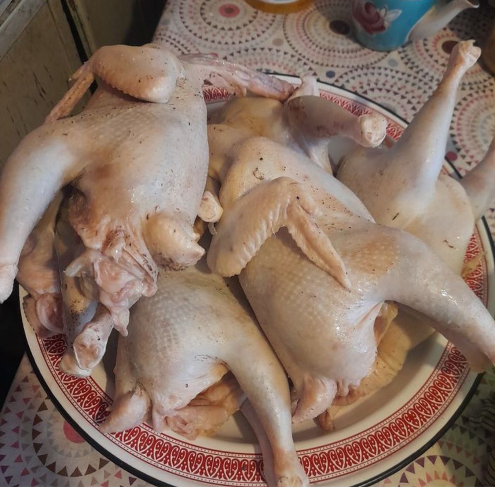 Продам тушки домашних курей