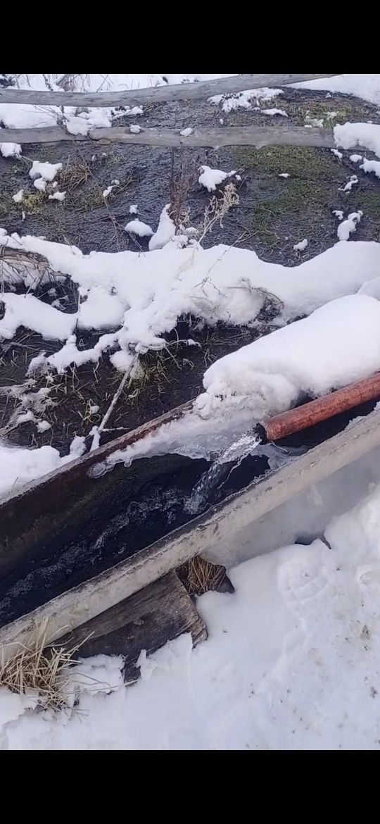 хазейсва сатылады